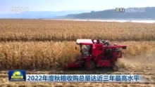 秋粮收购达3.45亿吨