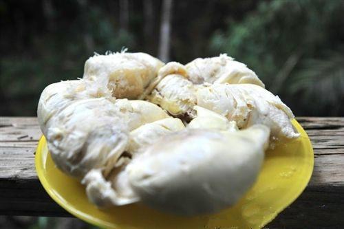 荔枝榴莲价格跳水近30%