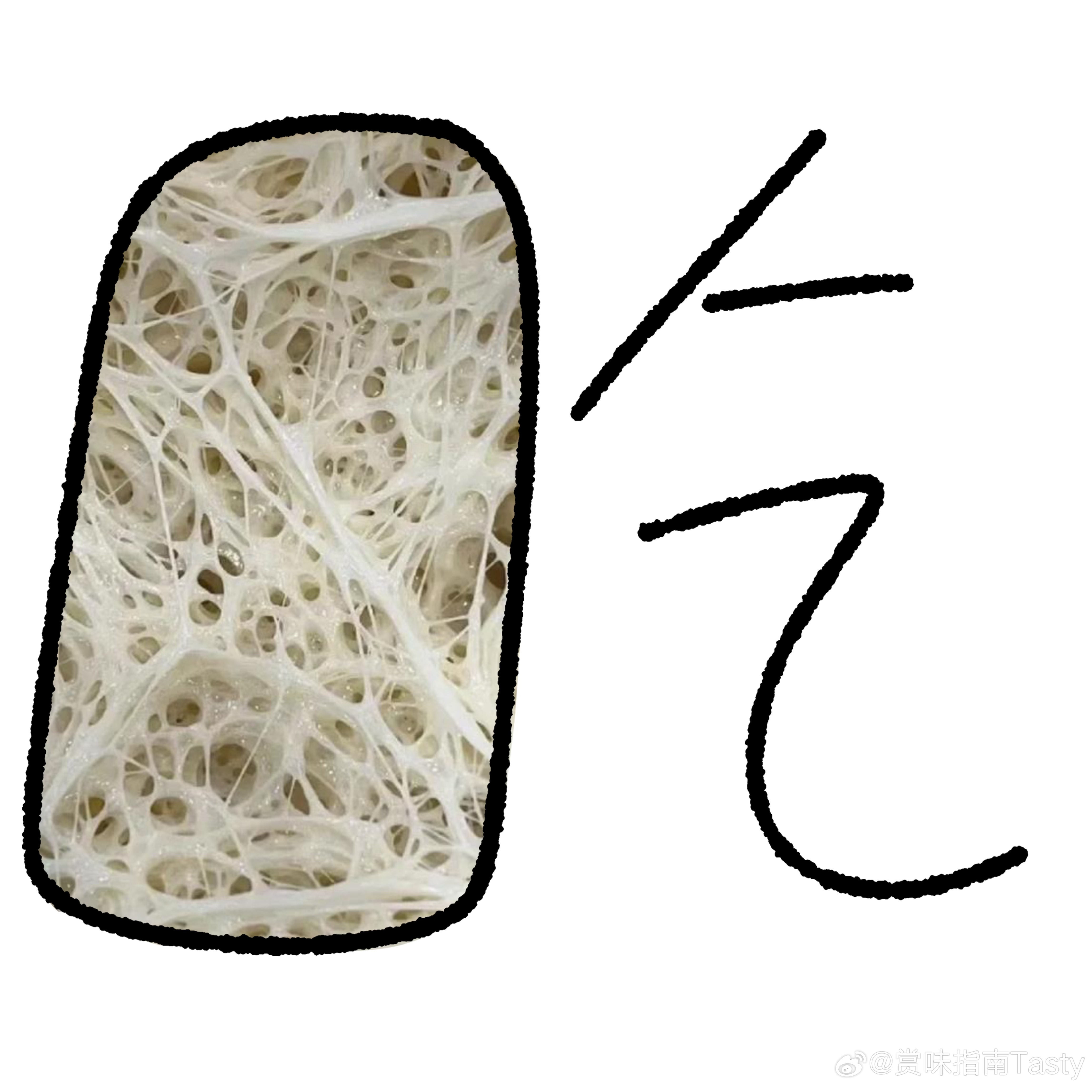 女生晒出养了三年的酵母