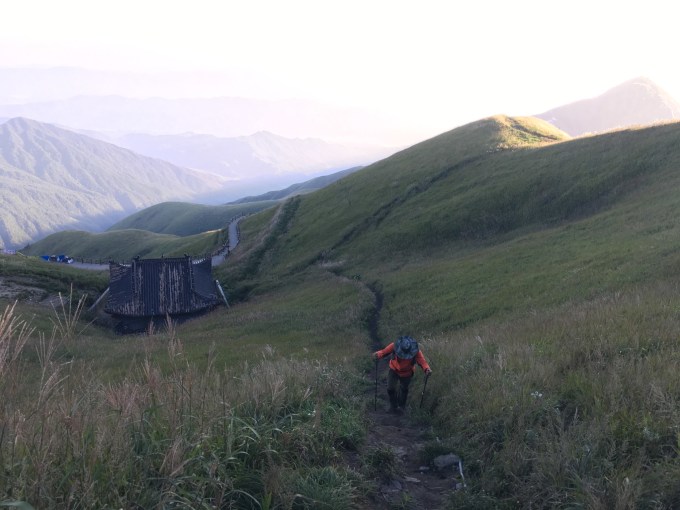 武功山景区回应山顶有大量臭屁虫