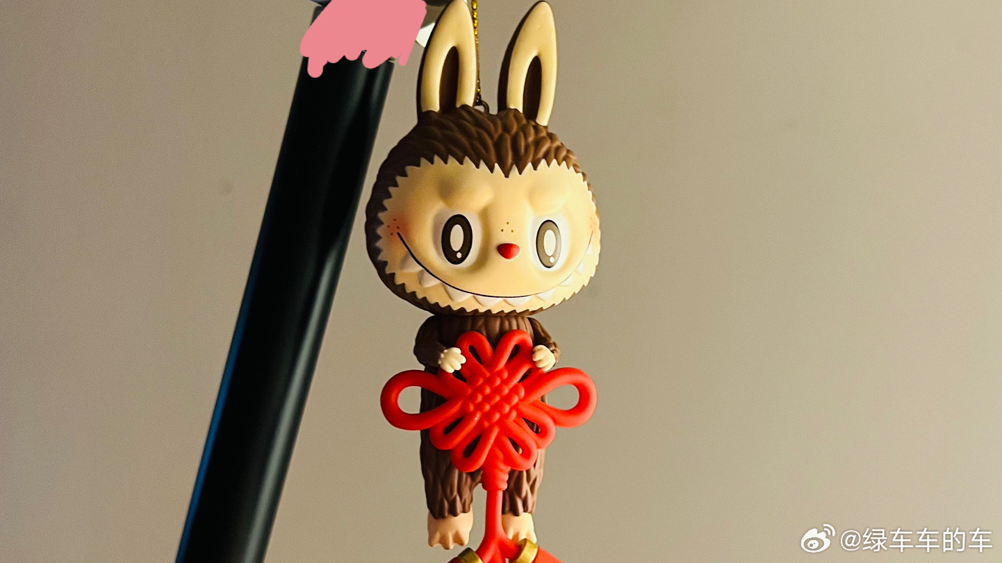今生簪花 来生做漂亮的LABUBU