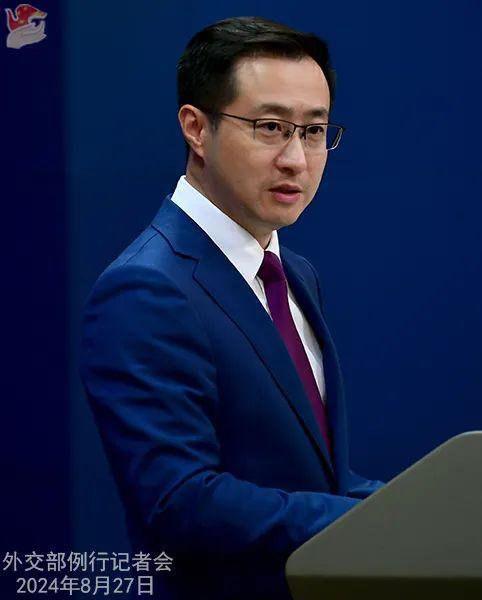 学者高志凯和巴铁主持人谈印巴冲突