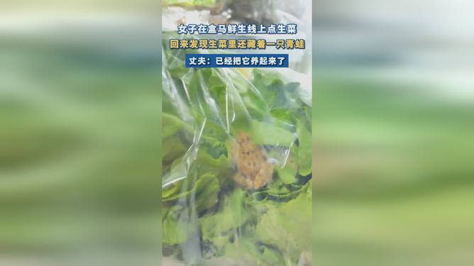 盒马生菜袋有活青蛙