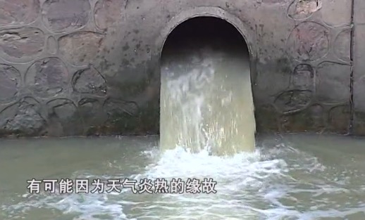 震惊！湖南一河现大量死鱼，背后真相令人担忧！