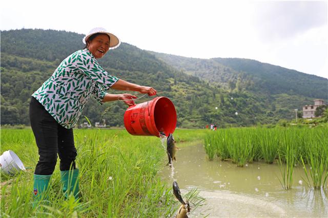广西一地持续暴雨：稻田成河