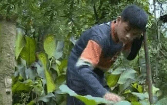 龙麻子带女友跪在父亲坟前落泪